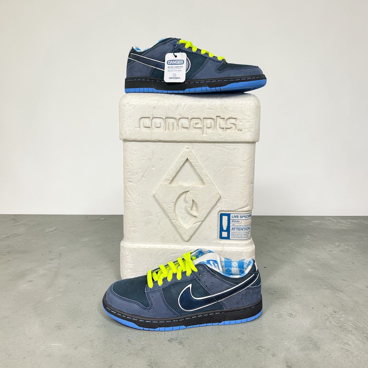 Nike Sb Blue Lobster Special Box